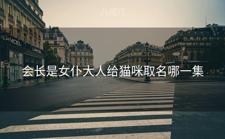 会长是女仆大人给猫咪取名哪一集