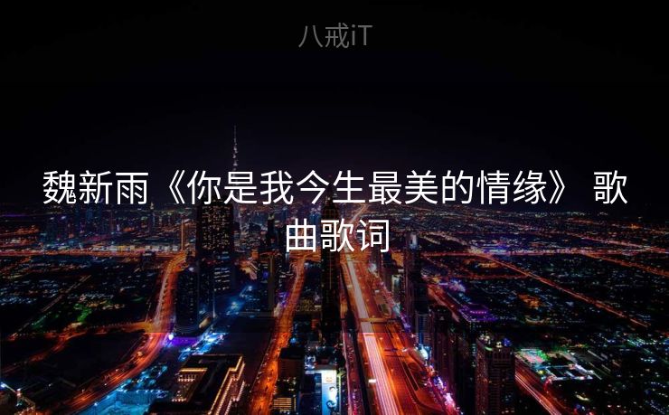 魏新雨《你是我今生最美的情缘》 歌曲歌词