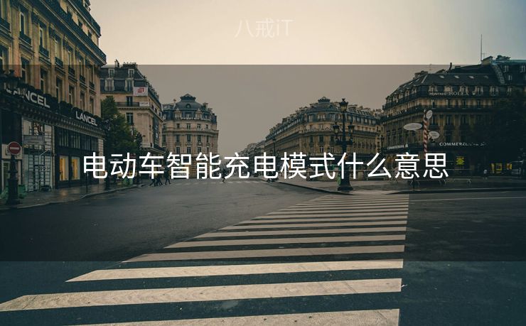 电动车智能充电模式什么意思
