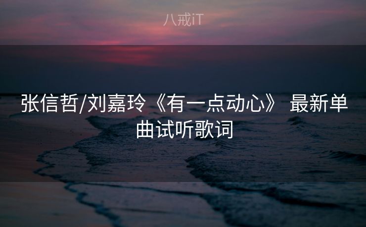 张信哲/刘嘉玲《有一点动心》 最新单曲试听歌词