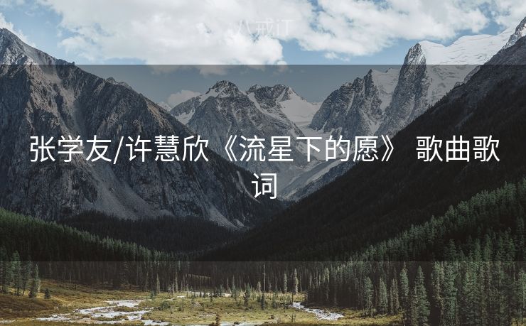 张学友/许慧欣《流星下的愿》 歌曲歌词