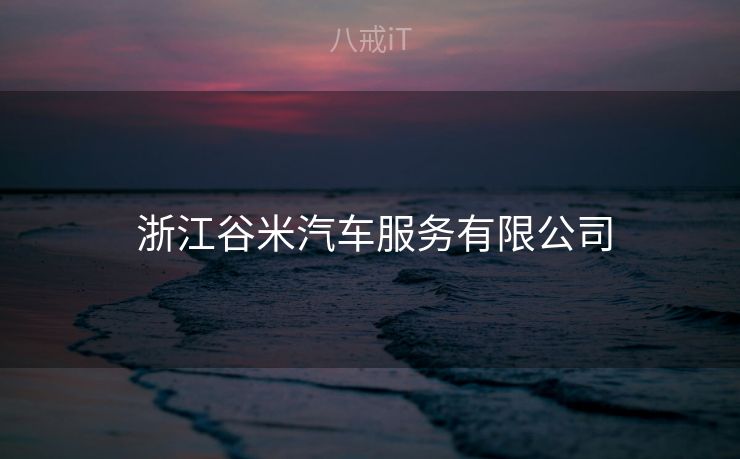  浙江谷米汽车服务有限公司