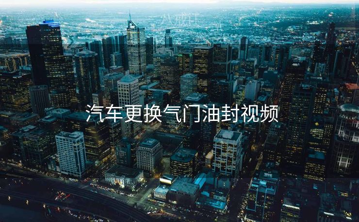  汽车更换气门油封视频
