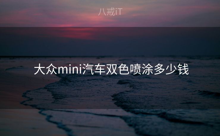  大众mini汽车双色喷涂多少钱