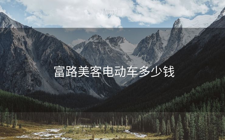  富路美客电动车多少钱