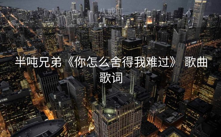 半吨兄弟《你怎么舍得我难过》 歌曲歌词